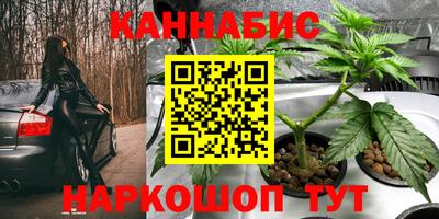 прущие грибы Новокубанск