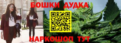 прущие грибы Новокубанск