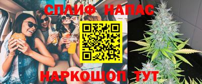прущие грибы Новокубанск