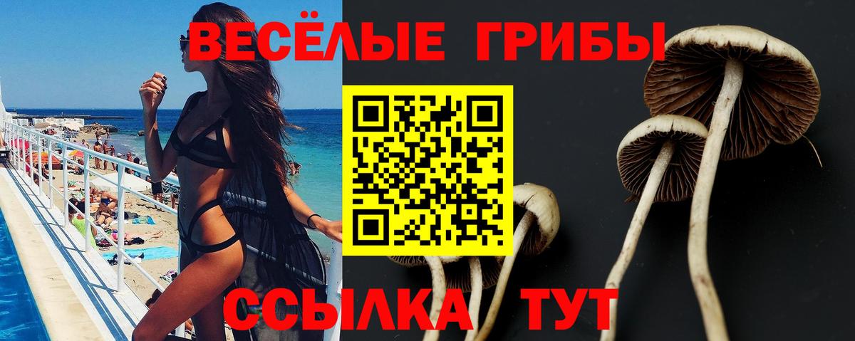 наркота  Галлюциногенные грибы прущие грибы  Галлюциногенные грибы мухоморы  Вход с VPN  Славянск-на-Кубани 