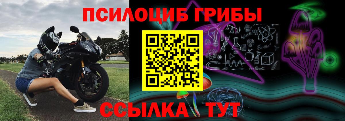 Галлюциногенные грибы GOLDEN TEACHER Славянск-на-Кубани
